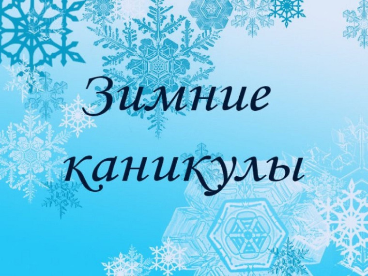 Итоги новогодних каникул в нашей школе.